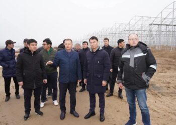 ТҮРКІСТАН: КЕЛЕС АУДАНЫНДА ЕЛІМІЗДЕГІ ЕҢ ІРІ ЖЫЛЫЖАЙ КЕШЕНІ САЛЫНУДА.