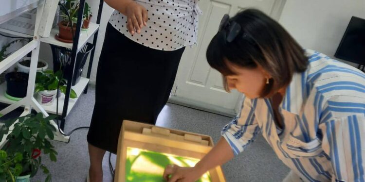 Ted форматында семинар өтті.