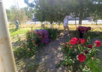 Сауран ауданы білім бөліміне қарасты. Бабайқорған жббм» КММ-де 31 мамыр күні «Таза Қазақстан» акциясы аясында тазалық жұмыстары жалғасын тапты.