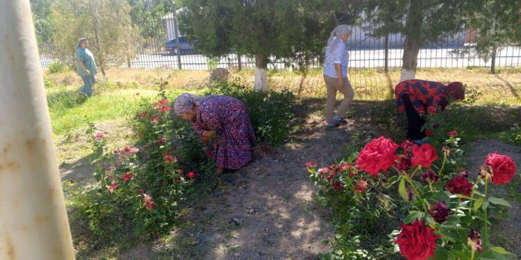 Сауран ауданы білім бөліміне қарасты. Бабайқорған жббм» КММ-де 31 мамыр күні «Таза Қазақстан» акциясы аясында тазалық жұмыстары жалғасын тапты.