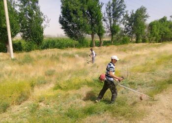Сауран ауданы білім бөліміне қарасты. Таза Қазақстан – Бабайқорған жалпы білім беретін мектептің таңдауы