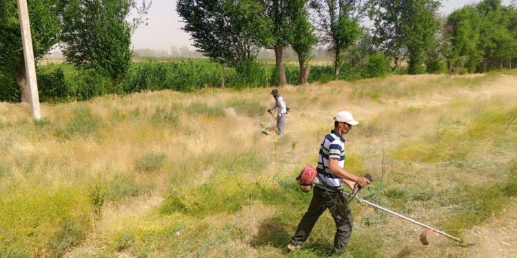 Сауран ауданы білім бөліміне қарасты. Таза Қазақстан – Бабайқорған жалпы білім беретін мектептің таңдауы