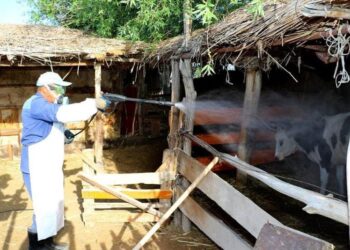 Түркістан облысының  денсаулық басқармасына  қарасты, Түркістан Облысы Сэбд , ТҮРКІСТАН ОБЛЫСЫНДА КОНГО-ҚЫРЫМ ГЕМОРАГИЯЛЫҚ ҚЫЗБАСЫ АУРУЫНА ҚАРСЫ ЖҰМЫСТАР ЖҮРГІЗІЛУДЕ.