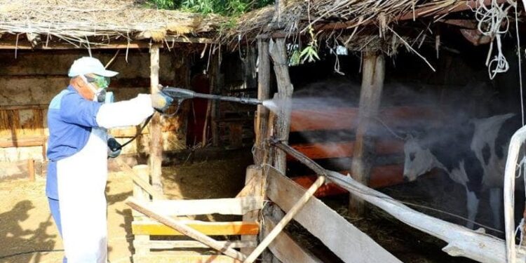 Түркістан облысының  денсаулық басқармасына  қарасты, Түркістан Облысы Сэбд , ТҮРКІСТАН ОБЛЫСЫНДА КОНГО-ҚЫРЫМ ГЕМОРАГИЯЛЫҚ ҚЫЗБАСЫ АУРУЫНА ҚАРСЫ ЖҰМЫСТАР ЖҮРГІЗІЛУДЕ.