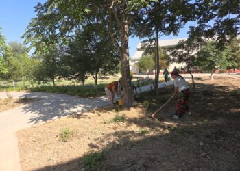 СЕНБІЛІК- ТАЗАЛЫҚ КЕПІЛІ.