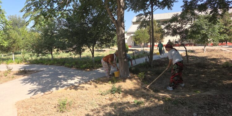 СЕНБІЛІК- ТАЗАЛЫҚ КЕПІЛІ.