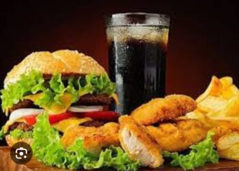 Түркістан облысының  денсаулық басқармасына  қарасты, Сэбб Отырар, ФАСТ ФУДТЫҢ зияны неде?