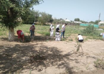 Отырар Аудандық Орталық Ауруханасы ұжымында “Таза Қазақстан” акциясы жалғасуда. Сенбілік жұмыстары жүргізіліп, аулалар тазартылды.