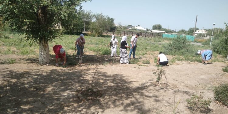 Отырар Аудандық Орталық Ауруханасы ұжымында “Таза Қазақстан” акциясы жалғасуда. Сенбілік жұмыстары жүргізіліп, аулалар тазартылды.