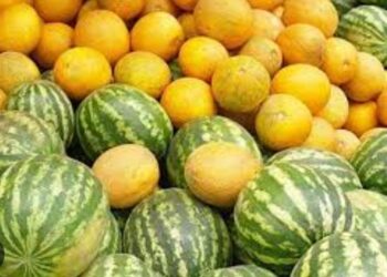 Түркістан облысының  денсаулық басқармасына  қарасты, Сэбб Отырар,Ерте піскен бақша өнімдерінің қауіптілігінен сақтаныңыз!