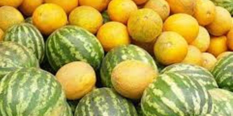 Түркістан облысының  денсаулық басқармасына  қарасты, Сэбб Отырар,Ерте піскен бақша өнімдерінің қауіптілігінен сақтаныңыз!