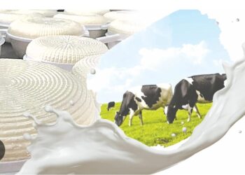 Өңдеу өнеркәсібі.