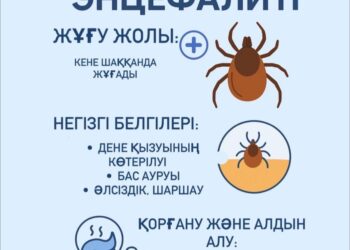 Кене энцефалиті.