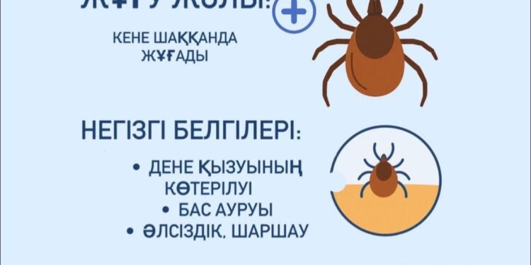 Кене энцефалиті.