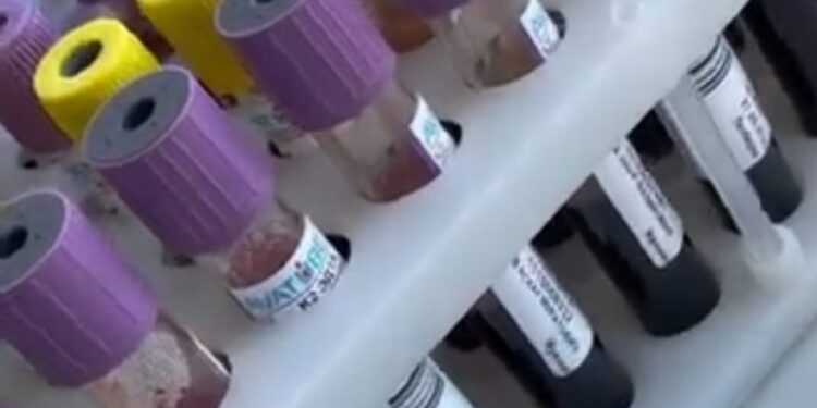 ДОНОР БОЛ– ӨМІР СЫЙЛА!