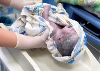 ТҮРКІСТАН ОБЛЫСЫНЫҢ ТҰРҒЫНЫ ҮШЕМ БОСАНЫП, 11 БАЛАНЫҢ АНАСЫ АТАНДЫ.