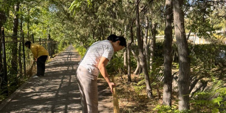 Таза орта – жарқын болашақ!