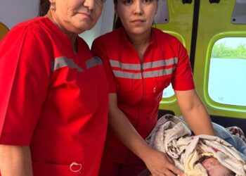 Фельдшерлік бригаданың кәсіби көмегі ана мен сәбидің өмірін аман сақтады .