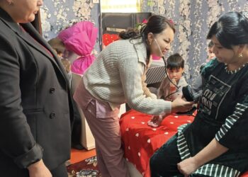 САУРАН АУДАНЫНДА ҮШЕМДЕР ДҮНИЕГЕ КЕЛДІ.