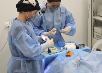 Қызмет сапасын облыстық және республикалық деңгейге көтеру.