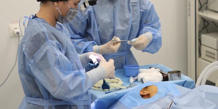 Қызмет сапасын облыстық және республикалық деңгейге көтеру.