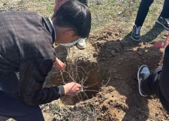 «Таза табиғат» экологиялық акциясына мектеп оқушылары қатысты.