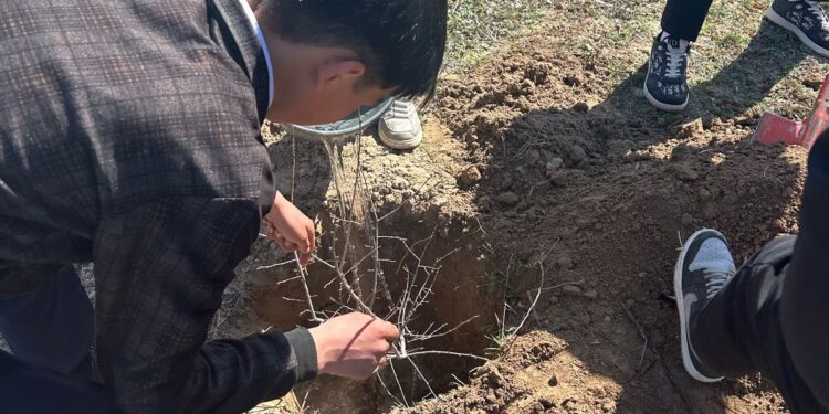 «Таза табиғат» экологиялық акциясына мектеп оқушылары қатысты.