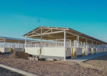 БИЫЛ ТҮРКІСТАНДА ХАЛЫҚАРАЛЫҚ ТАЛАПҚА САЙ АТШАБАР ПАЙДАЛАНУҒА БЕРІЛЕДІ.