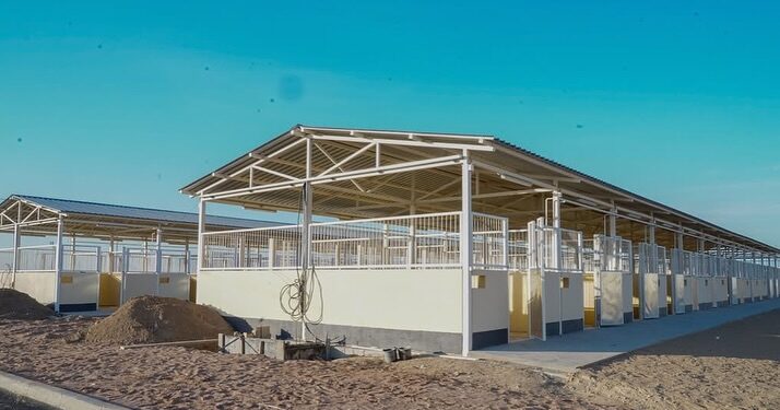 БИЫЛ ТҮРКІСТАНДА ХАЛЫҚАРАЛЫҚ ТАЛАПҚА САЙ АТШАБАР ПАЙДАЛАНУҒА БЕРІЛЕДІ.