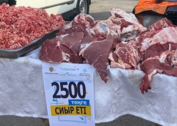 ТҮРКІСТАНДА КЕЗЕКТІ АЗЫҚ-ТҮЛІК ЖӘРМЕҢКЕСІ ӨТТІ.