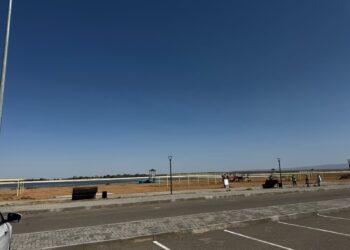 ТҮРКІСТАНДА ЗАМАНАУИ БАЛЫҚ ШАРУАШЫЛЫҒЫ КЛАСТЕРІ ҚҰРЫЛАДЫ.