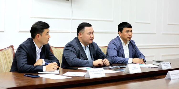 ТҮРКІСТАНДА МИКРОКРИСТАЛДЫ ТАС ЖӘНЕ ДЕКОРАТИВТІ ҚАПТАМА МАТЕРИАЛДАРЫ ӨНДІРІСІ ІСКЕ ҚОСЫЛАДЫ.