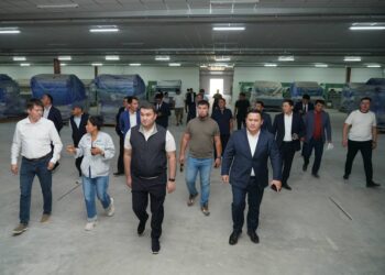 ТҮРКІСТАН ҚАЛАСЫНДА ТОҚЫМА ӨНДІРІСІНІҢ АЛЫП ЖОБАСЫ ІСКЕ АСУДА.