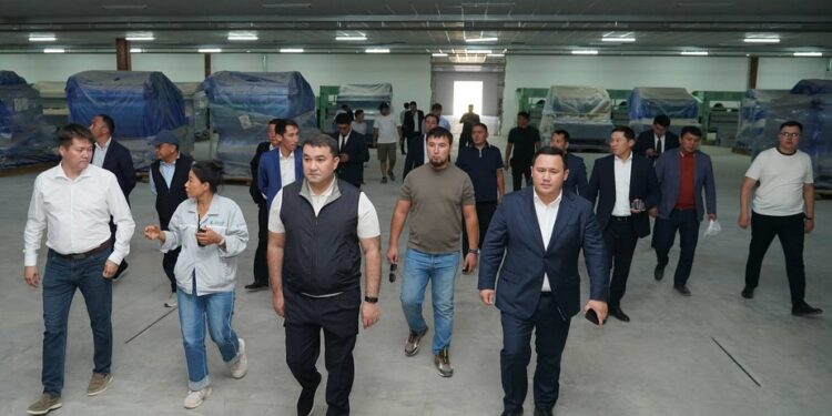 ТҮРКІСТАН ҚАЛАСЫНДА ТОҚЫМА ӨНДІРІСІНІҢ АЛЫП ЖОБАСЫ ІСКЕ АСУДА.