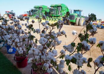 ОТЫРАРДА МАҚТА ЖӘНЕ КҮРІШ АЛҚАПТАРЫНА СУ ҮНЕМДЕУ ТЕХНОЛОГИЯСЫ ЕНДІРІЛДІ.