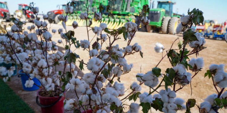 ОТЫРАРДА МАҚТА ЖӘНЕ КҮРІШ АЛҚАПТАРЫНА СУ ҮНЕМДЕУ ТЕХНОЛОГИЯСЫ ЕНДІРІЛДІ.