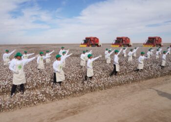 ОТЫРАРДА АУҚЫМДЫ «AQ-DALA» МАҚТАШЫЛАР ФЕСТИВАЛІ ӨТТІ .