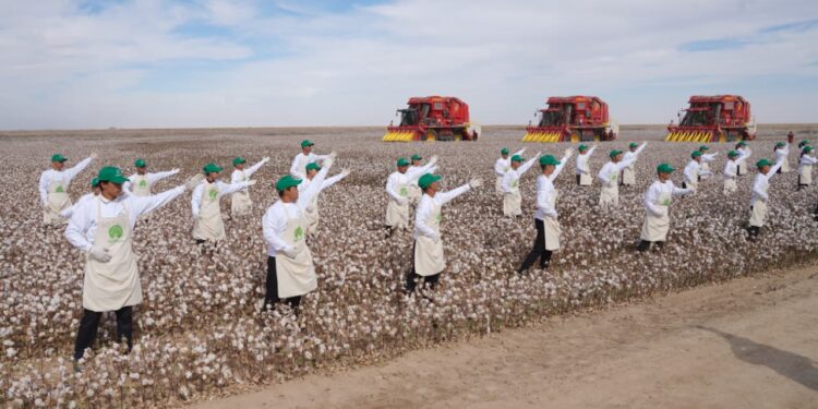 ОТЫРАРДА АУҚЫМДЫ «AQ-DALA» МАҚТАШЫЛАР ФЕСТИВАЛІ ӨТТІ .